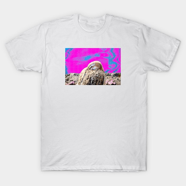 Duck pink / Swiss Artwork Photography T-Shirt by RaphaelWolf